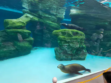 天王寺動物園に投稿された画像（2024/4/7）