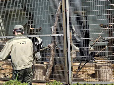 天王寺動物園に投稿された画像（2024/4/7）