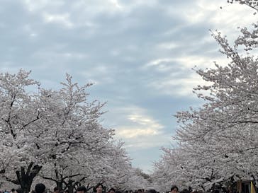 万博記念公園に投稿された画像（2024/4/7）