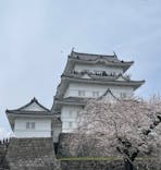 小田原城に投稿された画像（2024/4/7）