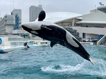 鴨川シーワールドに投稿された画像（2024/4/7）