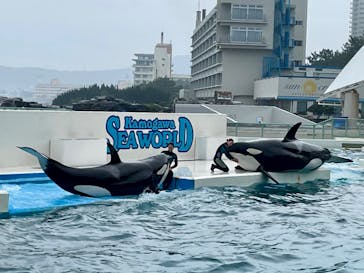 鴨川シーワールドに投稿された画像（2024/4/7）