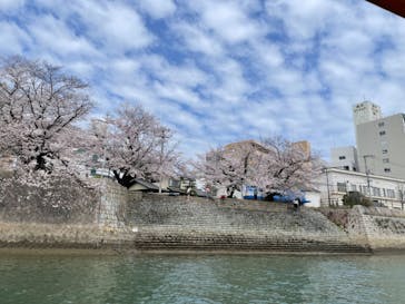 ひろしまリバークルーズに投稿された画像（2024/4/7）