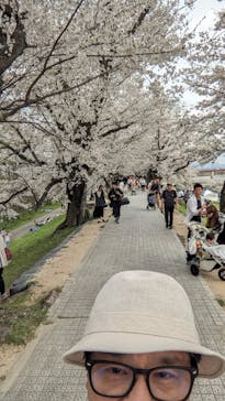 京阪電車に投稿された画像（2024/4/7）