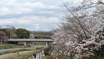 京阪電車に投稿された画像（2024/4/7）