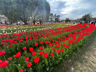 万博記念公園に投稿された画像（2024/4/7）