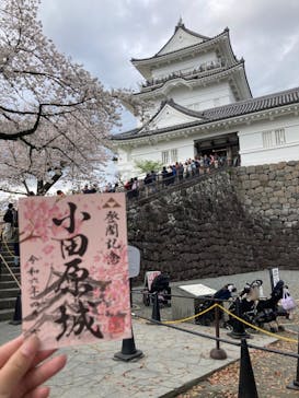 小田原城に投稿された画像（2024/4/7）