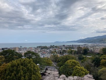小田原城に投稿された画像（2024/4/7）