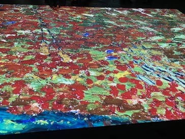 ゴッホ・アライブに投稿された画像（2024/4/7）