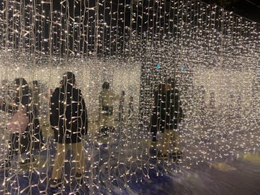 ゴッホ・アライブに投稿された画像（2024/4/7）