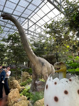 ナゴパイナップルパークに投稿された画像（2024/4/7）