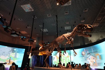 国立科学博物館に投稿された画像（2024/4/7）