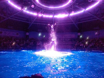 マクセル アクアパーク品川に投稿された画像（2024/4/7）