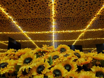 ゴッホ・アライブに投稿された画像（2024/4/7）