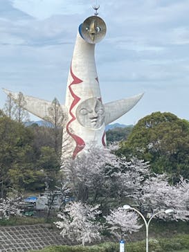 万博記念公園に投稿された画像（2024/4/7）
