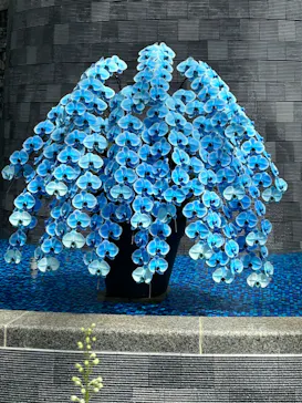 浜名湖花博2024に投稿された画像（2024/4/7）