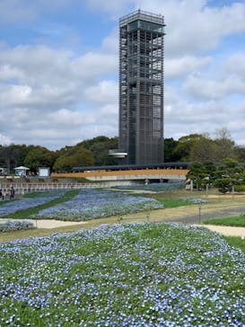 浜名湖花博2024に投稿された画像（2024/4/7）