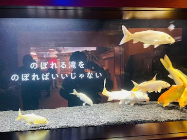 横浜開運水族館 フォーチュンアクアリウムに投稿された画像（2024/4/7）