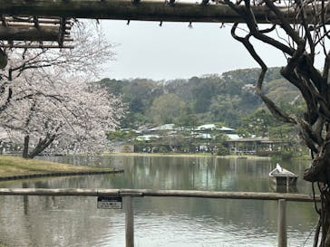 三溪園に投稿された画像（2024/4/7）