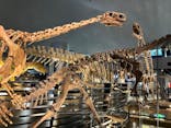 福井県立恐竜博物館に投稿された画像（2024/4/7）