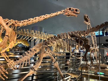 福井県立恐竜博物館に投稿された画像（2024/4/7）