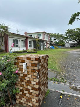 奄美ナイトツアーサービスに投稿された画像（2024/4/7）