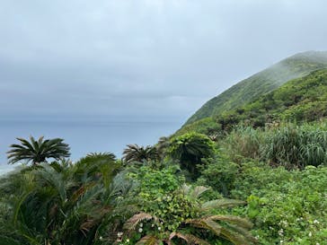 奄美ナイトツアーサービスに投稿された画像（2024/4/7）