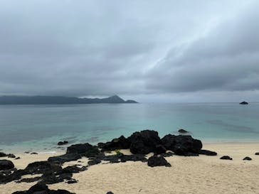 奄美ナイトツアーサービスに投稿された画像（2024/4/7）