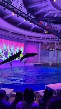 アクアワールド茨城県大洗水族館に投稿された画像（2024/4/7）