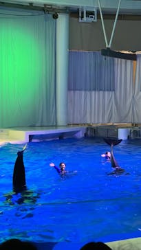 アクアワールド茨城県大洗水族館に投稿された画像（2024/4/7）
