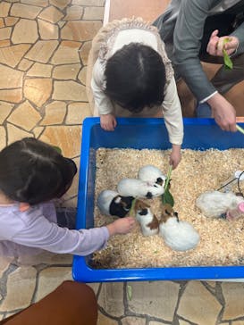 いきもの探検隊上尾に投稿された画像（2024/4/7）