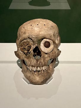 特別展「古代メキシコ ーマヤ、アステカ、テオティワカン」に投稿された画像（2024/4/7）