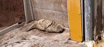 東武動物公園に投稿された画像（2024/4/7）