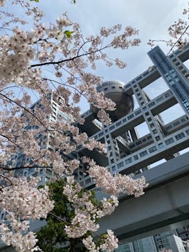 オダイバ恐竜博覧会2024 -福井から“ヤツラ”が新幹線でやってくる！-に投稿された画像（2024/4/7）