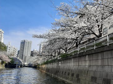 東京ウォータウェイズに投稿された画像（2024/4/7）
