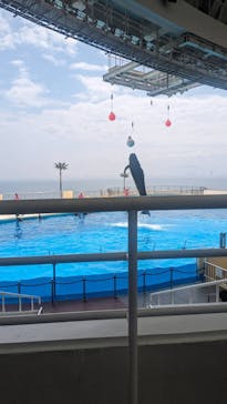 マリンワールド海の中道に投稿された画像（2024/4/7）