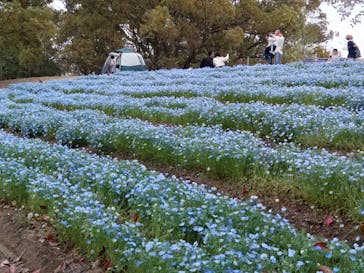 万博記念公園に投稿された画像（2024/4/7）