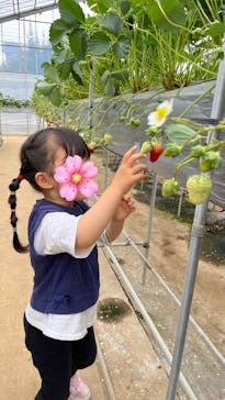 観光農園ガイヤファーム（横田ファーム）に投稿された画像（2024/4/7）