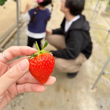 観光農園ガイヤファーム（横田ファーム）に投稿された画像（2024/4/7）