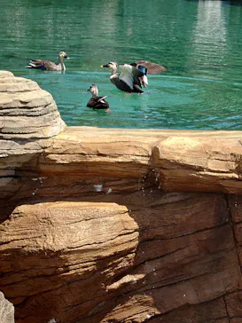 ひらかたパークに投稿された画像（2024/4/7）