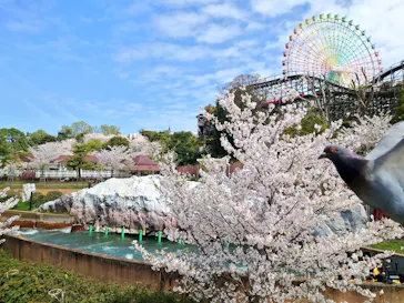 ひらかたパークに投稿された画像（2024/4/7）