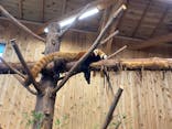 伊豆シャボテン動物公園に投稿された画像（2024/4/7）