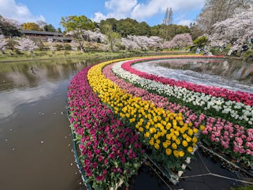 浜名湖花博2024に投稿された画像（2024/4/7）