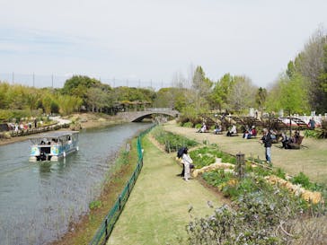 浜名湖花博2024に投稿された画像（2024/4/7）