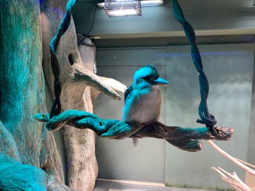 カワスイ 川崎⽔族館に投稿された画像（2024/4/7）