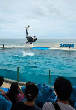 鴨川シーワールドに投稿された画像（2024/4/7）