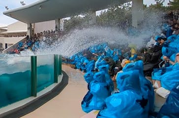 鴨川シーワールドに投稿された画像（2024/4/7）