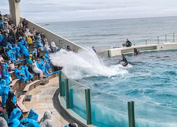 鴨川シーワールドに投稿された画像（2024/4/7）