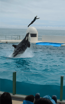 鴨川シーワールドに投稿された画像（2024/4/7）