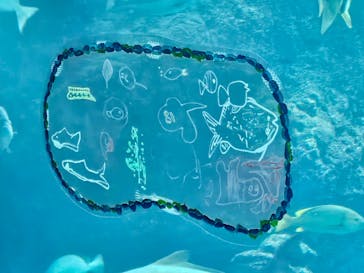 新江ノ島水族館に投稿された画像（2024/4/7）